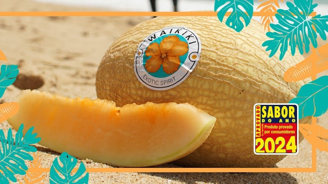 semillas fito waikiki|semillas fito waikiki